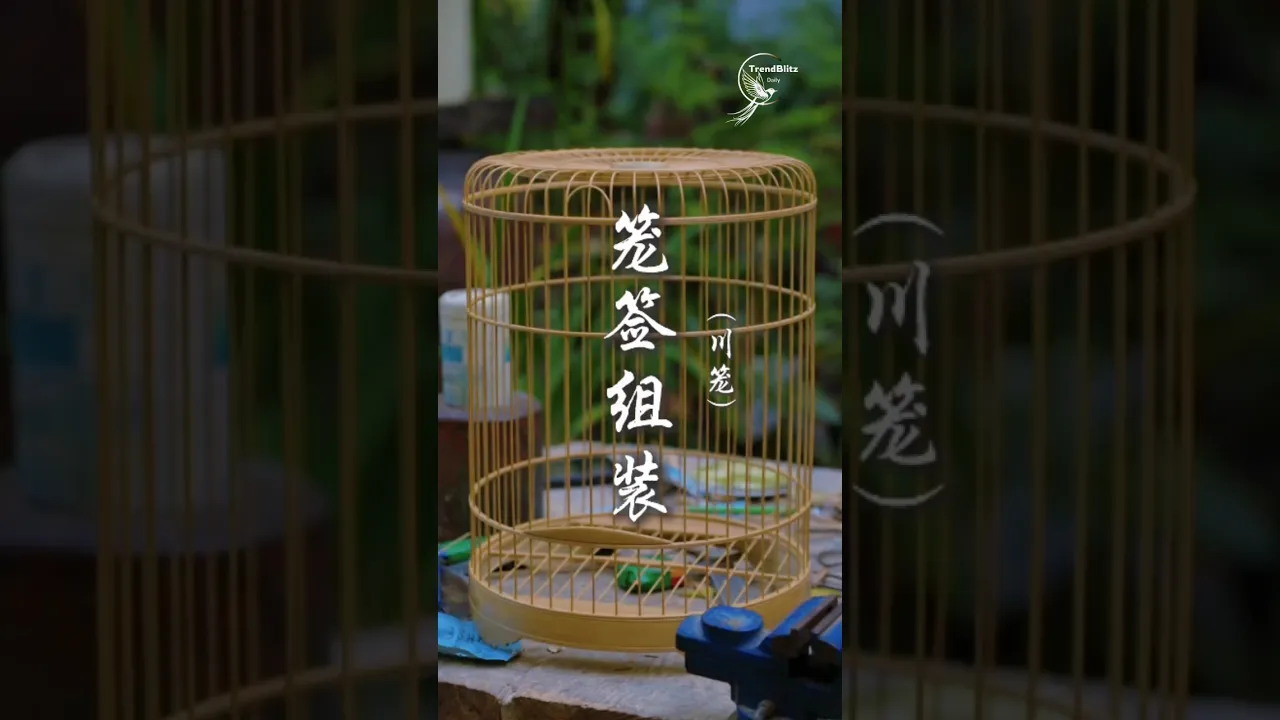 Sichuan Cage Weaving ｜ Ancient Handmade Craft Revived with Precision & Skill