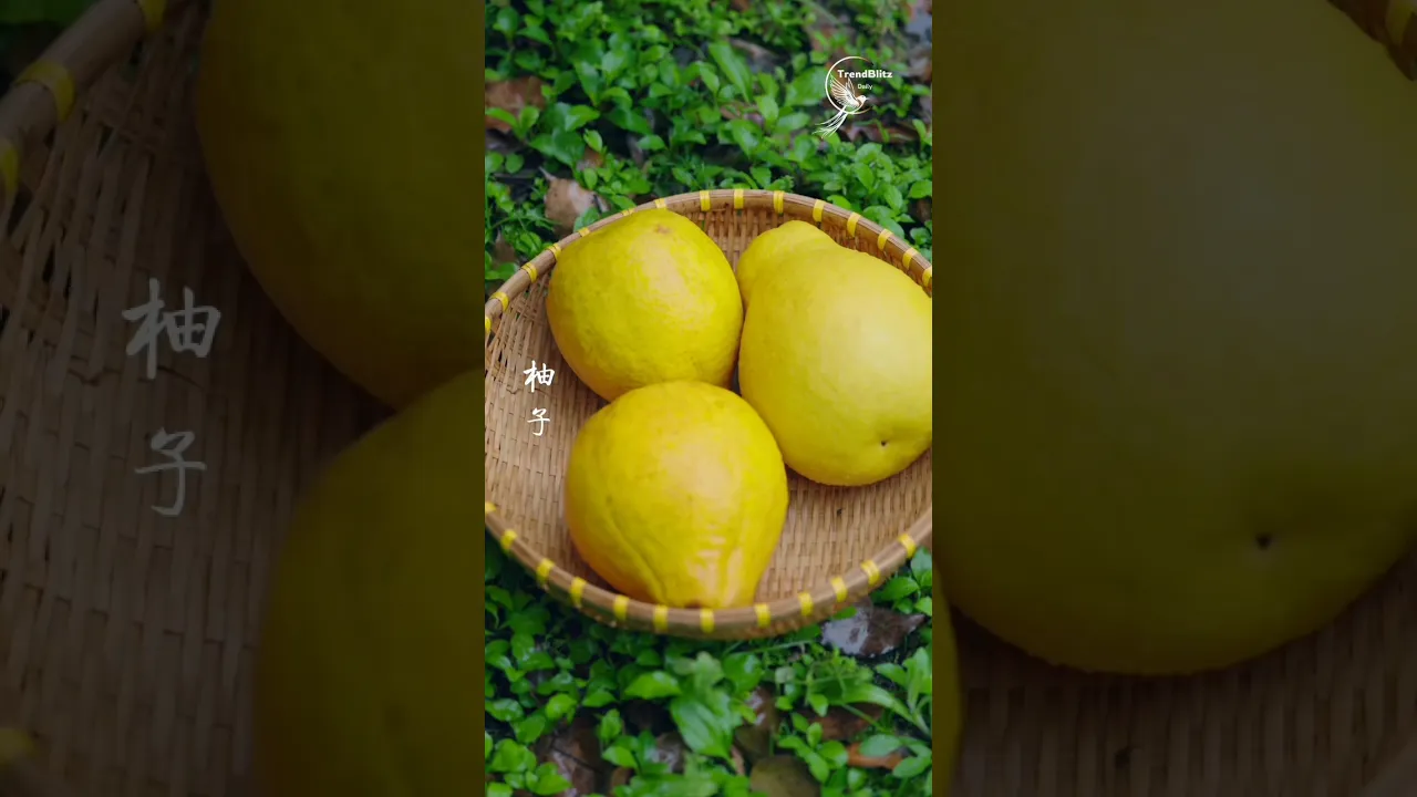 One Breath of This Pomelo Fragrance Fills the Room with Luxury ｜ Traditional Scent Culture