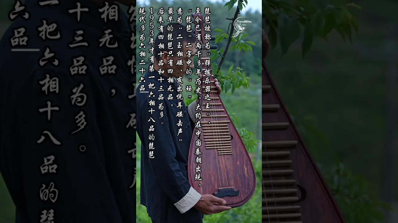 Handcrafted Rosewood Pipa Build 🎼 30 Days, $20K Artisan Mastery Revealed