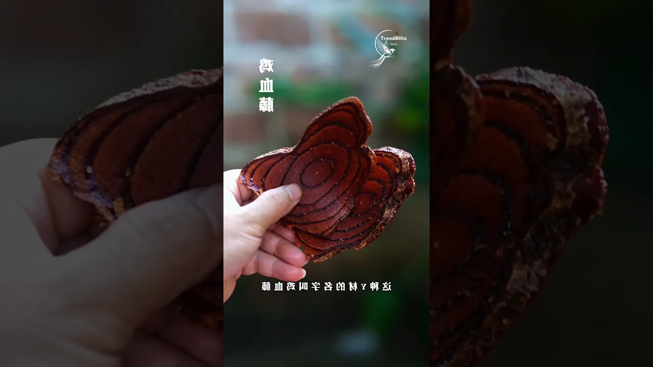 Handmade Chicken Blood Vine Paste 🍵 Traditional Herbal Wellness Crafted Over Wood Fire
