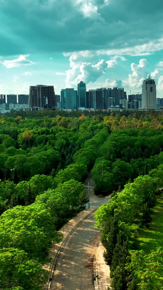in the upcoming years, Erbil will be one of the most greenery cities ...