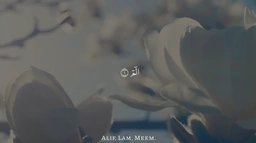 سورة آل عمران || للقارئ شريف مصطفى