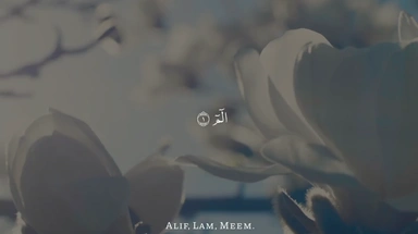 سورة آل عمران || للقارئ شريف مصطفى