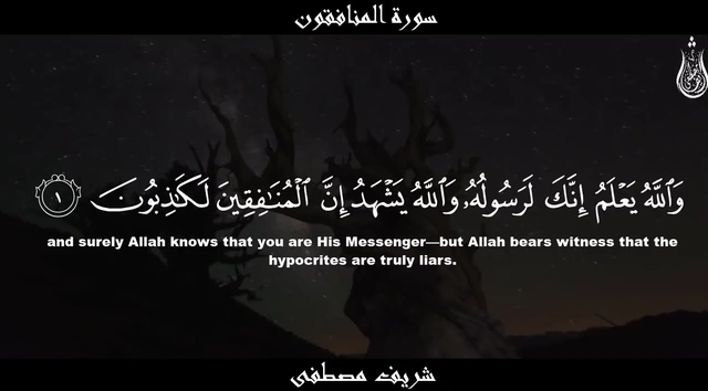 سورة المنافقون || القارئ شريف مصطفى