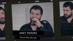 Awat Bokani Gullm Tfli Dlli Mn ｜ گوڵم تفڵی دڵی من