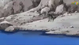 ماوکلی ئەڵقەی ۳۹